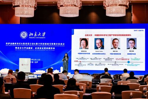 數字經濟新引擎 2024拉薩金融商務區格?；ㄐ袆诱猩桃Y洽談會啟航