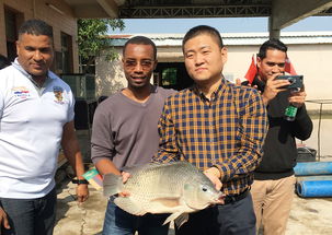 2019年海上絲綢之路國家水生動(dòng)物健康管理及檢驗(yàn)檢疫研修班項(xiàng)目圓滿落幕，成果豐碩助力畜牧漁業(yè)飼料銷售市場拓展